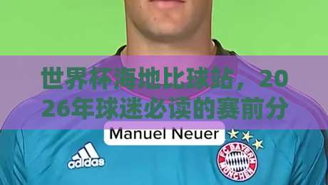 世界杯海地比球站，2026年球迷必读的赛前分析指南