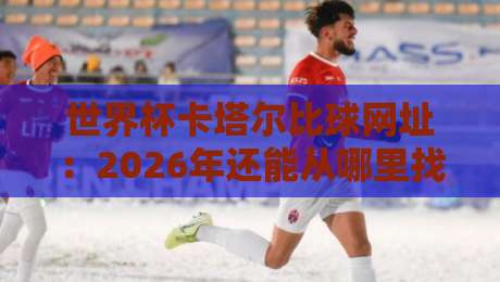 世界杯卡塔尔比球网址：2026年还能从哪里找到高清回放？