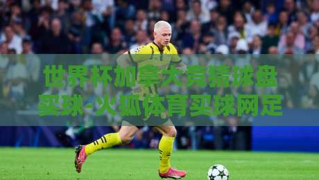 世界杯加拿大竞猜球盘买球-火狐体育买球网足球体育，2026年玩法全攻略（世界杯加拿大竞猜球盘买球）