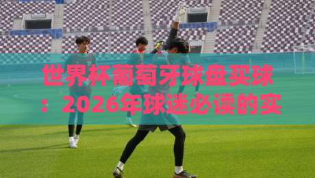 世界杯葡萄牙球盘买球：2026年球迷必读的实战指南（世界杯葡萄牙球盘买球）