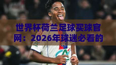 世界杯荷兰足球买球官网：2026年球迷必看的安全指南与平台选择