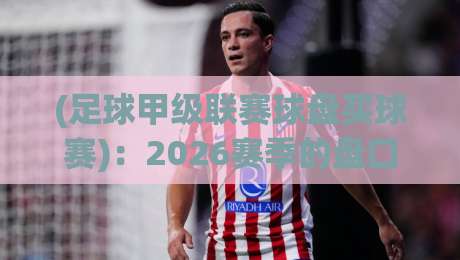 (足球甲级联赛球盘买球赛)：2026赛季的盘口密码与实战技巧全解析