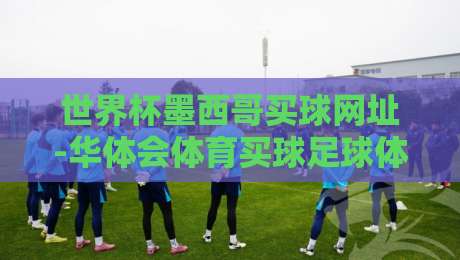 世界杯墨西哥买球网址-华体会体育买球足球体育：2026年观赛新玩法（世界杯墨西哥买球网址）