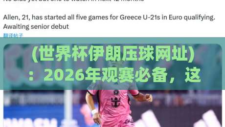 (世界杯伊朗压球网址)：2026年观赛必备，这样找才靠谱