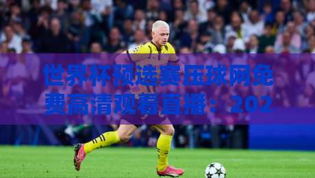 世界杯预选赛压球网免费高清观看直播：2026亚洲区终极观赛指南