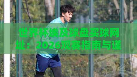 世界杯埃及球盘买球网址：2026观赛指南与谨慎选择要点