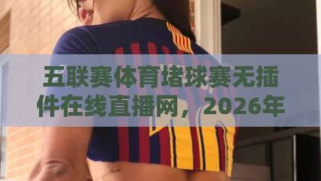 五联赛体育堵球赛无插件在线直播网，2026年观赛新体验！