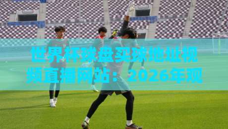 世界杯球盘买球地址视频直播网站：2026年观赛指南与平台选择