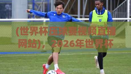 (世界杯压球赛视频直播网站)，2026年世界杯压球赛视频直播平台推荐：从信号稳定性到赔率透明度的全方位评测与用户实测反馈